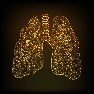 世界哮喘日肺部图案